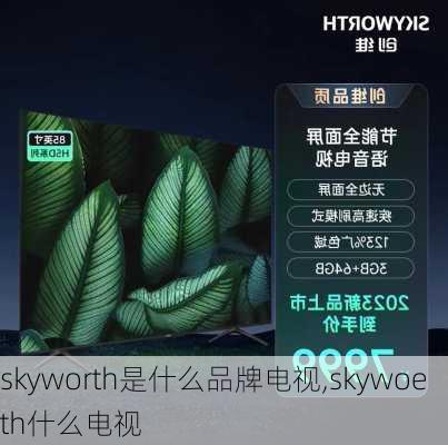 skyworth是什么品牌电视,skywoeth什么电视