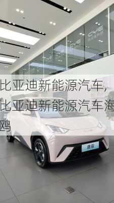 比亚迪新能源汽车,比亚迪新能源汽车海鸥