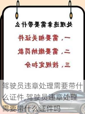 驾驶员违章处理需要带什么证件,驾驶员违章处理需要带什么证件吗