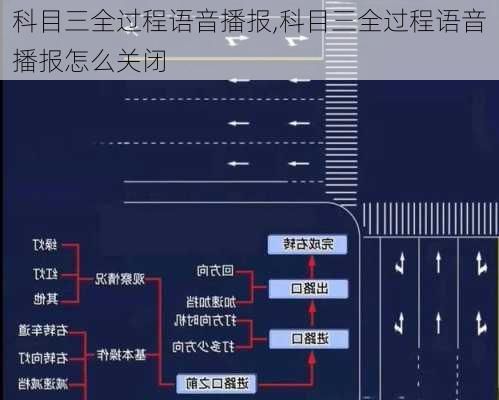 科目三全过程语音播报,科目三全过程语音播报怎么关闭