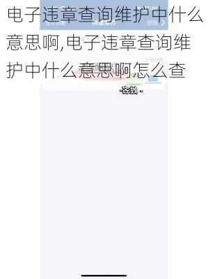 电子违章查询维护中什么意思啊,电子违章查询维护中什么意思啊怎么查