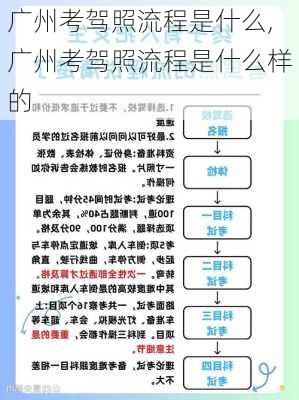 广州考驾照流程是什么,广州考驾照流程是什么样的